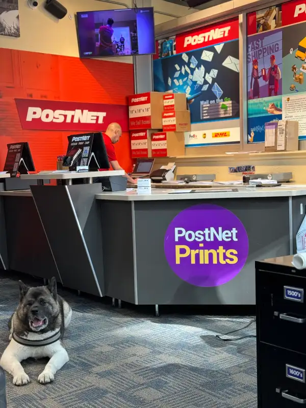 Review photo from Ana Lucia Berdiales