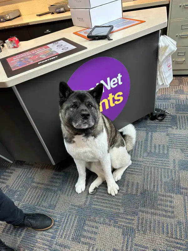 Review photo from Austin Harshman