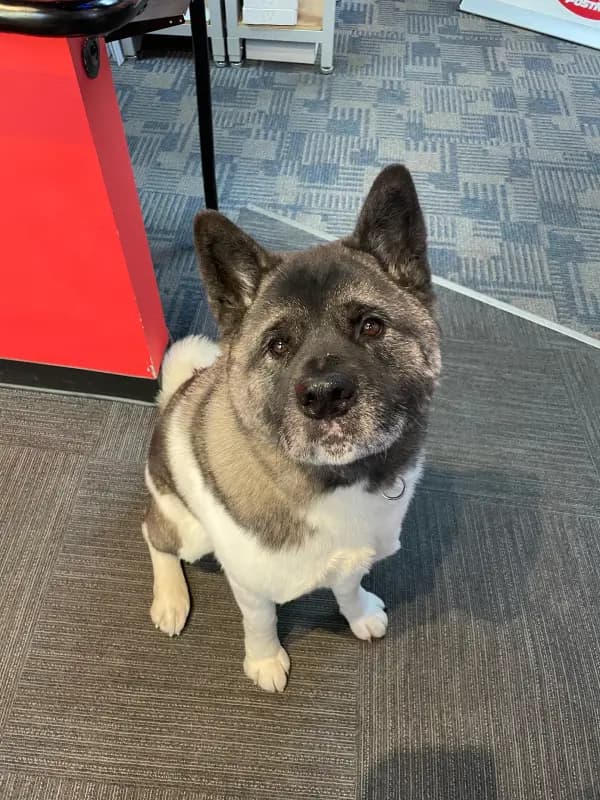 Review photo from Dinelle Camacho