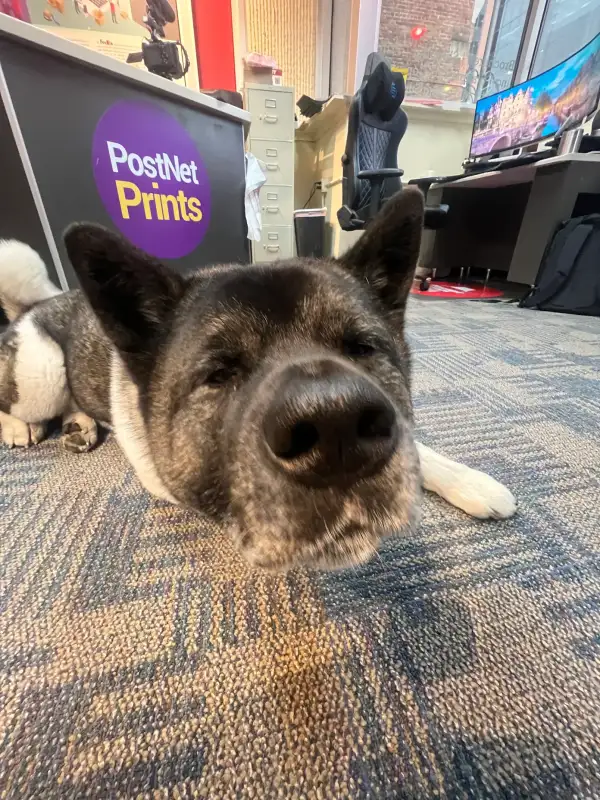 Review photo from Teddy DeMask