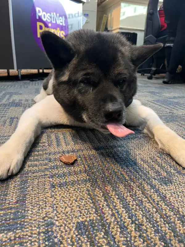 Review photo from Trinity Wissinger